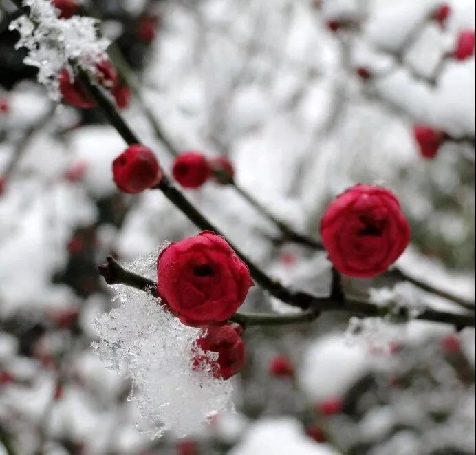 20200218153193.jpg \